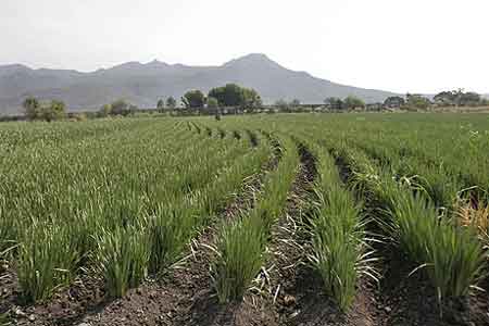 Tierras sin funcin productiva sern expropiadas