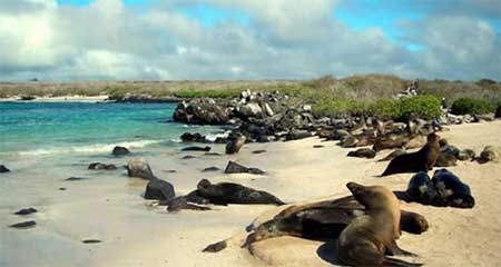 Coronavirus llega a Galpagos, importado desde Guayaquil