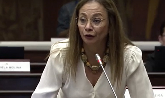 El legado fallido de Pierina Correa quien dice abandonar la poltica tras el colapso del Copinna